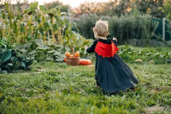 Een charmant kind in duivels kostuum en een regenjas sluipt rond in de tuin. Halloween concept, carnaval kostuum. Achteraanzicht — Stockfoto