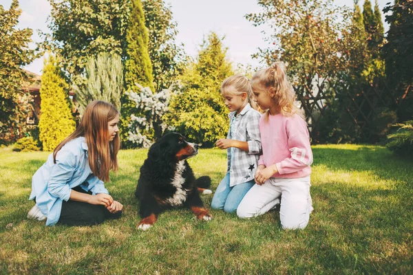 Группа девочек-подростков, кормящих грудью, играющих и развлекающихся на свежем воздухе на лужайке со своей бернской горной собакой — стоковое фото