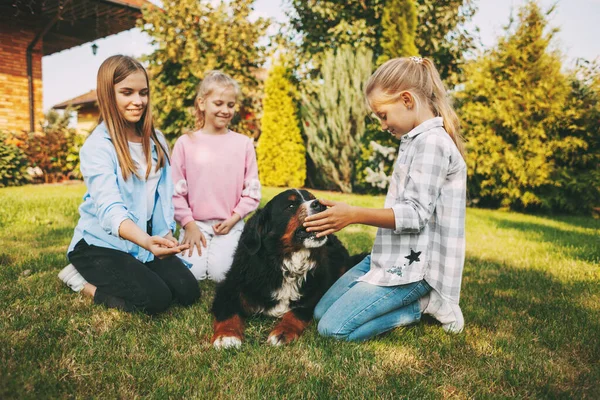 一群少女和她们的贝奈斯山狗在草坪上哺乳、玩耍和玩耍 — 图库照片