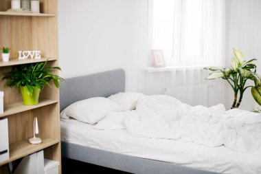 Bir yatak, bir gardırop ve parlak bir odada yeşil bitkiler. Minimalist yatak odası.