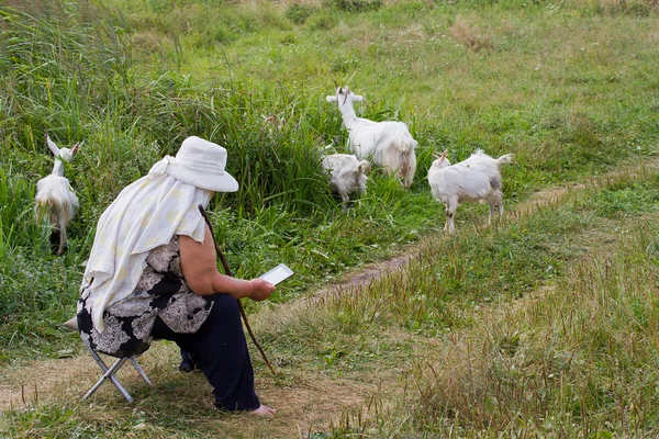Mature woman tending goats