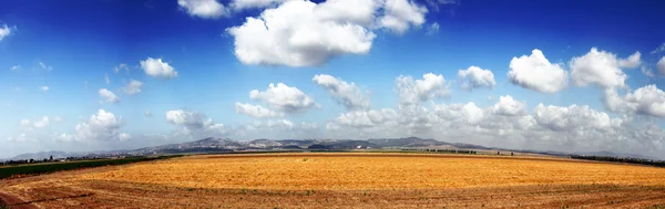 Panoramik dağ manzarası