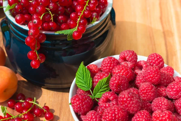 Aprikot matang, Raspberry dan Red Currant — Stok Foto
