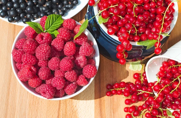 Raspberry lezat, Red dan Black Currant — Stok Foto