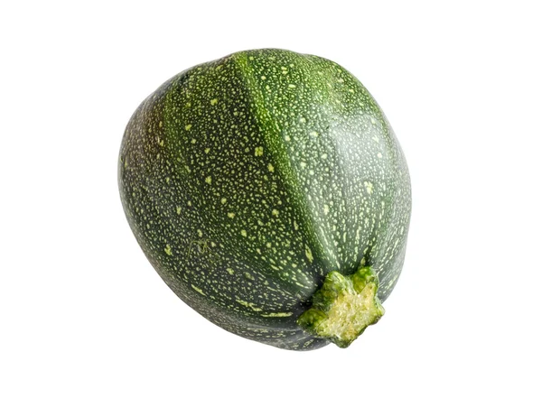 Zucchini. — Stock Photo, Image