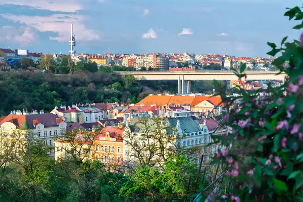 Görünüm akşam vyshehrad (Çek Cumhuriyeti Prag).