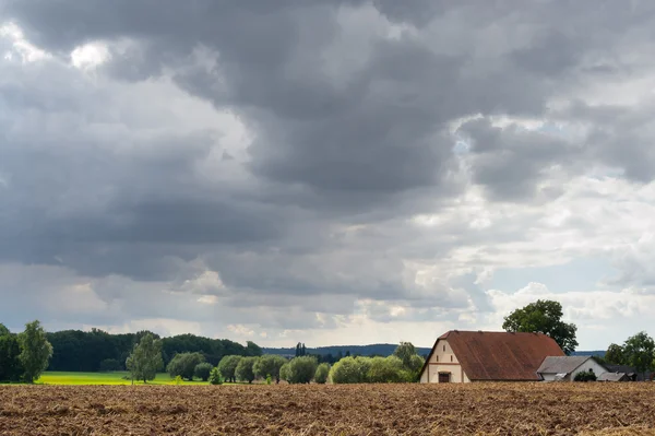 Landsbygdens sommarlandskap. — Stockfoto