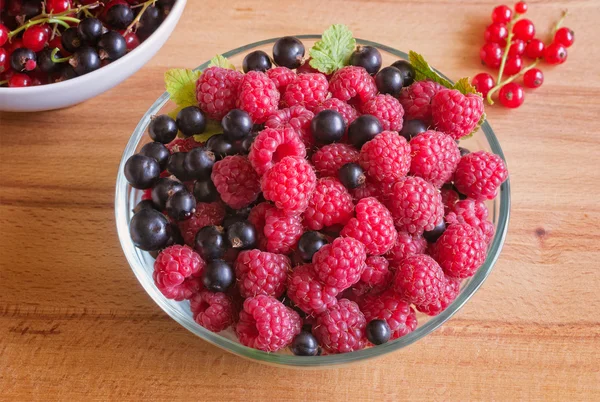 Raspberry and Black Currant — Stock Photo, Image