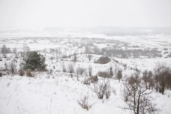 Fiocco di neve visto dalla collina — Foto Stock