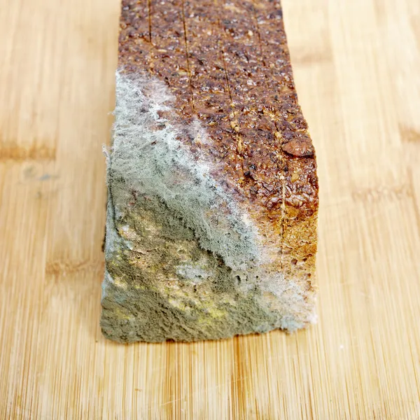 Wholemeal bread moldy — Stock Photo, Image