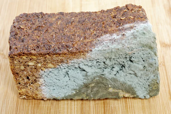 Volkorenbrood beschimmeld — Stockfoto