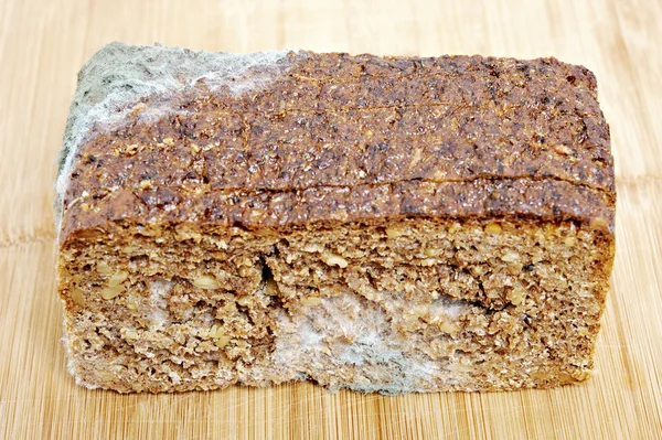 Wholemeal bread moldy — Stock Photo, Image