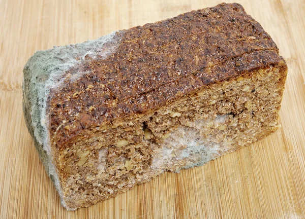 Wholemeal bread moldy — Stock Photo, Image