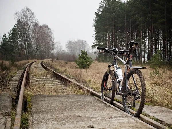 Bicicleta deportiva en el bosque — Foto de Stock