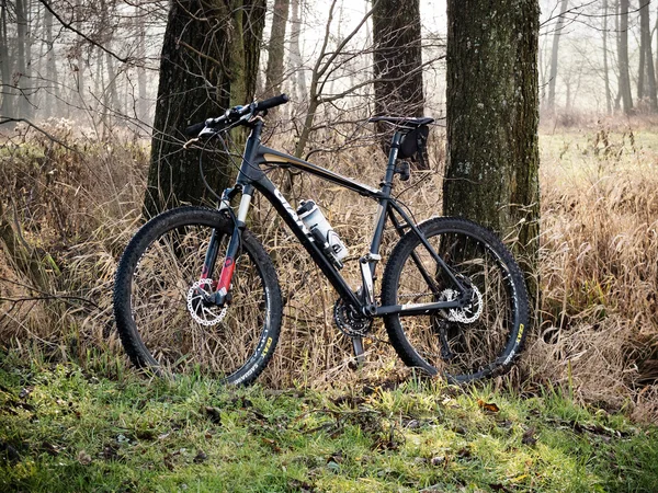 Bicicleta deportiva en el bosque — Foto de Stock