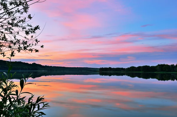 Summer sunset on the lake — Stock Photo, Image