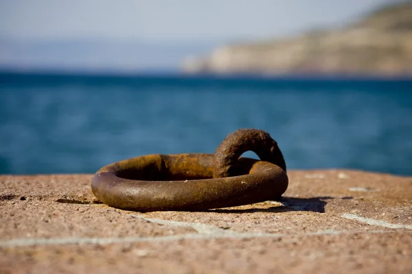 Ring on the moor — Stock Photo, Image