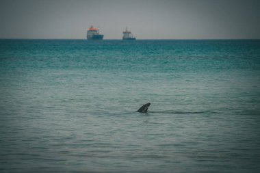 İyon Denizi 'nde Yunanistan' ın yatlarını dolaş
