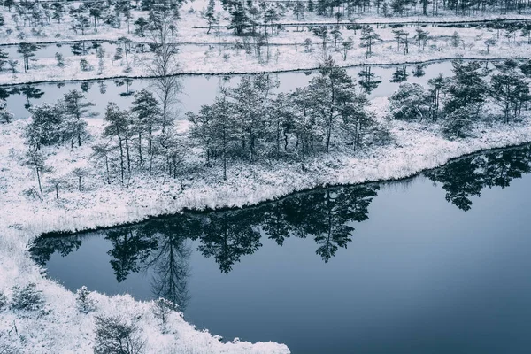 Cold winter landscape frozen snow swamp Kemeri — Stock Fotó