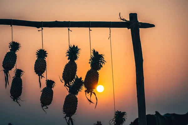 Оранжевый закат ананас и солнце Индия Керала — стоковое фото