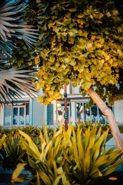 Dubai şehir merkezi ve şeyh Zayed, gün batımından önce renkli gökyüzü, Birleşik Arap Emirlikleri ile kesişiyorlar.