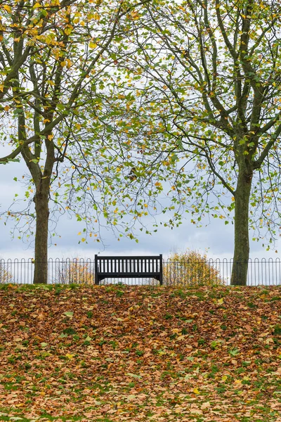 Colchester Castle Park Essex İngiltere'de