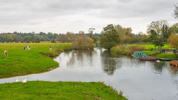 Colchester uk paisagem rural dedham — Fotografia de Stock