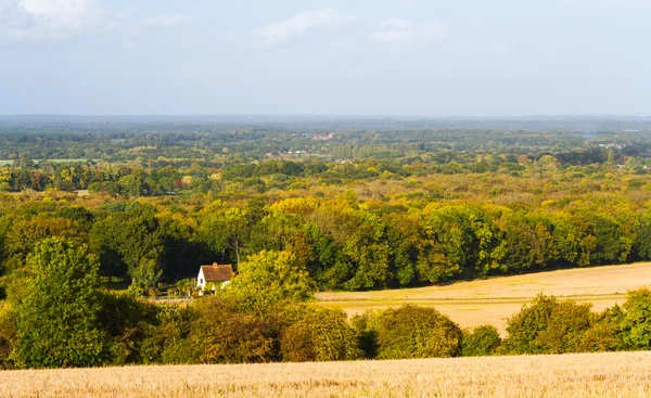 Britse platteland Guildford Surrey — Stockfoto