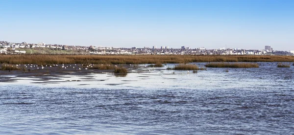 Southend Эссекс Великобритания — стоковое фото