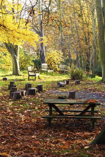 Autumn picnic site — Stock Photo, Image