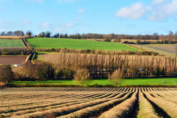 Kent zona rural uk — Fotografia de Stock