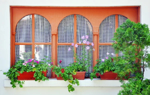 Okno s hrnci květin na něm — Stock fotografie
