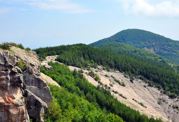 Mountain slope with trees on it — Stock Photo, Image
