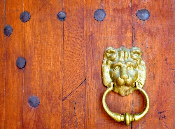 青銅色のライオンの頭と古い木製のドアと鉄のリベット — ストック写真