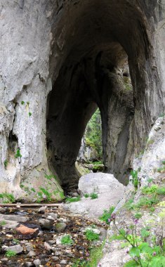 doğal bir fenomen