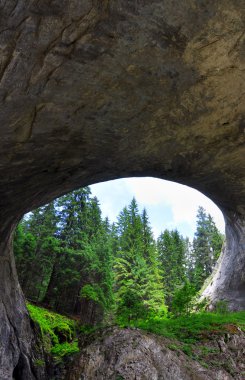 doğal bir fenomen