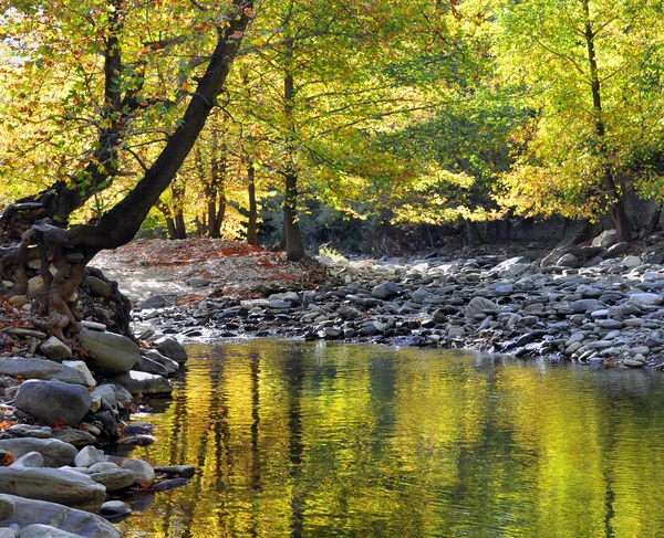 Fiume di montagna — Foto Stock