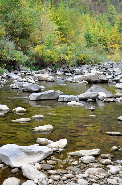 Fiume di montagna — Foto Stock