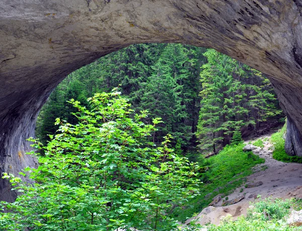 Natuurverschijnsel — Stockfoto