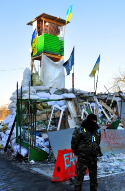 Kiev (Kiev), Ukrayna - ö. 2 Şubat 2014