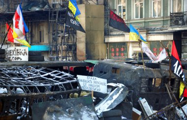 Kiev (Kiev), Ukrayna - ö. 2 Şubat 2014