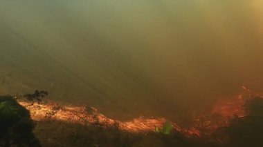 Sualtı çatışması. Güneş ışınları suyun içinden geçer.