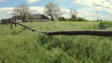 Rüzgarda sallanan çim tarlası. Kırsal alan, ev, ahşap çit 