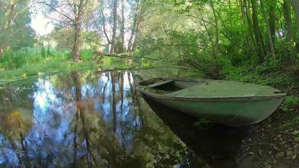 Ein Festgemachtes Boot Auf Einem Ruhigen Fluss Zwischen Den Bäumen — Stockvideo