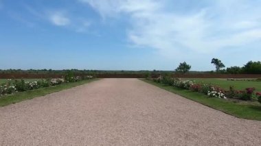 Çakıl yolu boyunca mavi gökyüzünün arka planında yeşil çimenli bahçeler ve bitkiler arasında yürü. Projeniz için kaliteli video