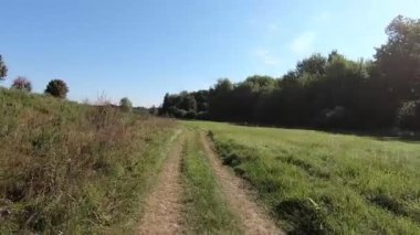 Güneşli bir yaz gününde ormanın yakınındaki bir tarlada kır yolunda yürümek. Projeniz için kaliteli video