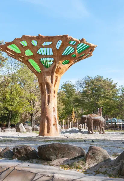 Ázsiai Elefánt Egy Madárházban Állatkertben Minőségi Kép Projektjéhez — Stock Fotó