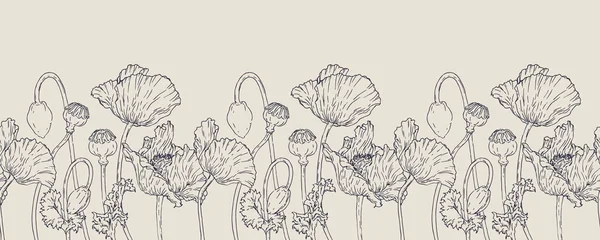 Διάνυσμα Οριζόντια Χέρι Darwn Παπαρούνα Λουλούδι Απρόσκοπτα Σύνορα Επς Γραμμική — Διανυσματικό Αρχείο