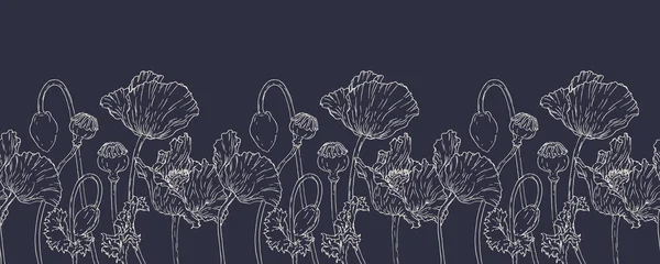 Elle karartılmış haşhaş çiçeğiyle yatay sınırda. Eps 10. Çizgi sanatı botanik çizimi. Çiçek arkaplanı