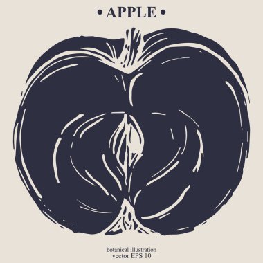 Vector el darwn elma. Eps 10 botanik illüstrasyon